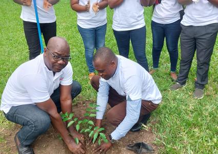 BVCI team planting trees