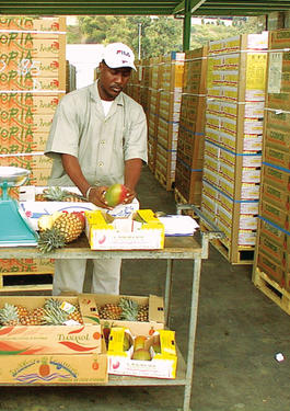 bureau veritas food manufacturing and processing